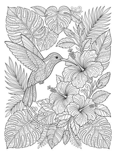 Hummingbird and hibiscus — free printable coloring page for adults