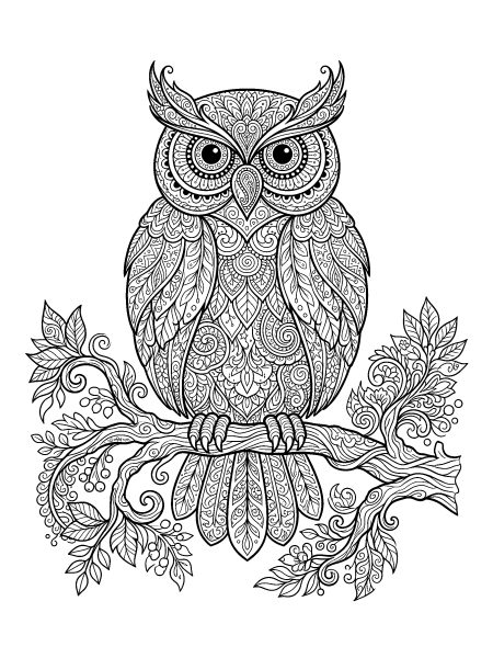 Example page drawn by the same engine: zentangle owl